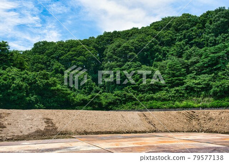 Forest and temporary soil storage area Forest and temporary soil storage area 79577138