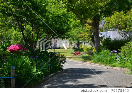 Small diameter in early summer Small diameter in early summer 79578343