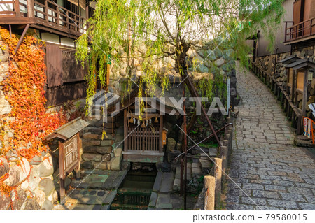 Gujo Hachiman, Sogi Spring in Autumn <Gujo City, Gifu Prefecture> 79580015