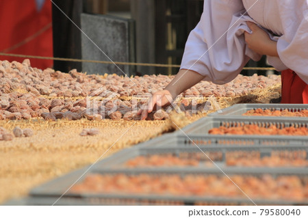 A scene from the Doyo drying process at Kitano Tenmangu Shrine in Kyoto A scene from the Doyo drying process at Kitano Tenmangu Shrine in Kyoto 79580040