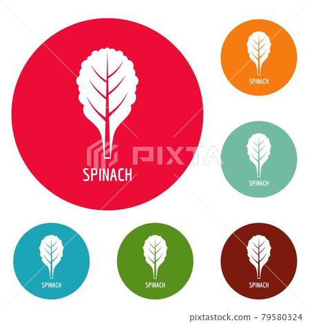 Spinach icons circle set vector Spinach icons circle set vector 79580324
