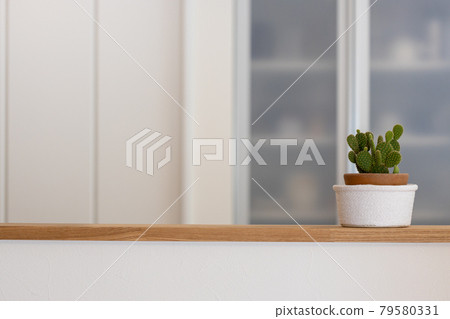 新建獨戶廚房中的仙人掌盆栽 79580331