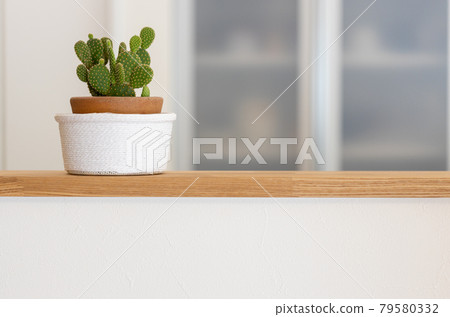 Cactus potted plant in a newly built single-family kitchen 79580332