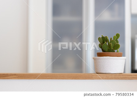 新建獨戶廚房中的仙人掌盆栽 新建獨戶廚房中的仙人掌盆栽 79580334
