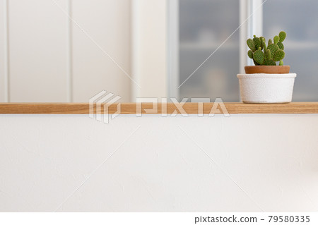 新建獨戶廚房中的仙人掌盆栽 新建獨戶廚房中的仙人掌盆栽 79580335