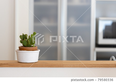 新建獨戶廚房中的仙人掌盆栽 79580336