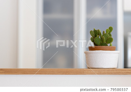 新建獨戶廚房中的仙人掌盆栽 新建獨戶廚房中的仙人掌盆栽 79580337