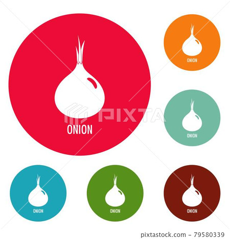 Onion icons circle set vector Onion icons circle set vector 79580339