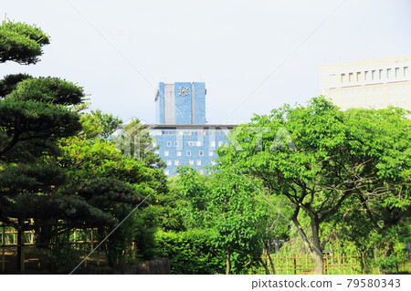 札幌中島公園以新綠 札幌中島公園以新綠 79580343