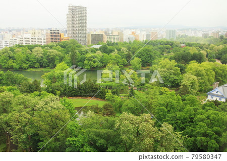 札幌中島公園以新綠 79580347