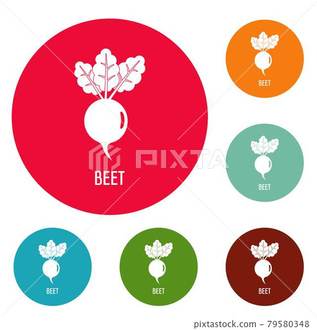 Beet icons circle set vector Beet icons circle set vector 79580348