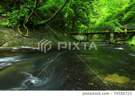Kamabuchi waterfall in the summer Kamabuchi waterfall in the summer 79580723
