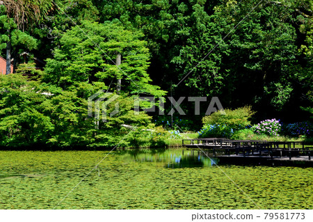 Yame City Hoshino Ikenoyama Campground Scenery on the shores of Lake Asoike Yame City Hoshino Ikenoyama Campground Scenery on the shores of Lake Asoike 79581773