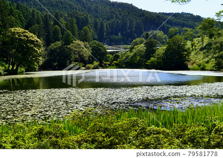 Yame City Hoshino Ikenoyama Campground Scenery on the shores of Lake Asoike Yame City Hoshino Ikenoyama Campground Scenery on the shores of Lake Asoike 79581778