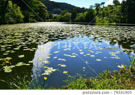 八女市星野池之山露營地 阿蘇池湖畔的風景 79581905