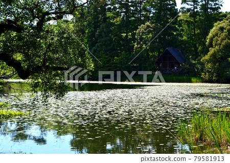 Yame City Hoshino Ikenoyama Campground Scenery on the shores of Lake Asoike 79581913