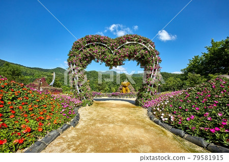 Gapyeong-gun Jaraseom Namdo Flower Garden with beautiful blue sky and clouds 79581915