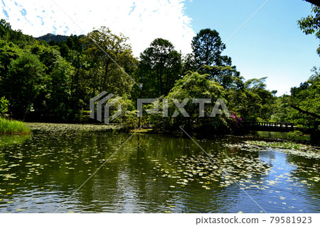 Yame City Hoshino Ikenoyama Campground Scenery on the shores of Lake Asoike Yame City Hoshino Ikenoyama Campground Scenery on the shores of Lake Asoike 79581923