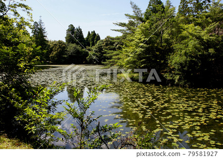 八女市星野池之山露營地 阿蘇池湖畔的風景 79581927