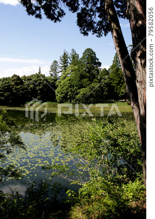 Yame City Hoshino Ikenoyama Campground Scenery on the shores of Lake Asoike Yame City Hoshino Ikenoyama Campground Scenery on the shores of Lake Asoike 79582056