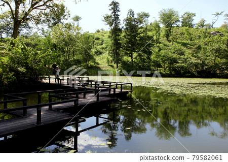 Yame City Hoshino Ikenoyama Campground Scenery on the shores of Lake Asoike Yame City Hoshino Ikenoyama Campground Scenery on the shores of Lake Asoike 79582061