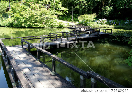 Yame City Hoshino Ikenoyama Campground Scenery on the shores of Lake Asoike Yame City Hoshino Ikenoyama Campground Scenery on the shores of Lake Asoike 79582065