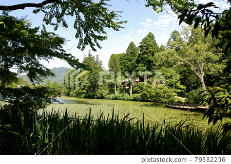 Yame City Hoshino Ikenoyama Campground Scenery on the shores of Lake Asoike Yame City Hoshino Ikenoyama Campground Scenery on the shores of Lake Asoike 79582236