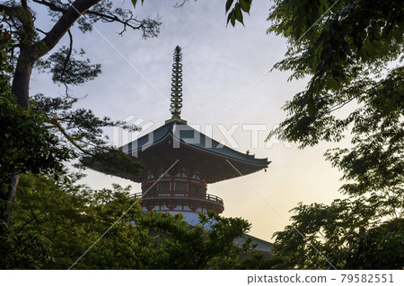 Naritasan Shinshoji Temple, Great Pagoda of Peace, just before sunrise 79582551