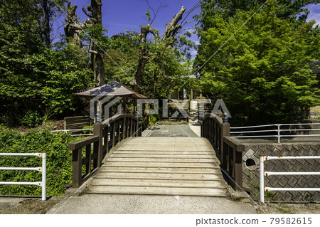 Yaegaki Shrine precincts Matsue City, Shimane Prefecture Yaegaki Shrine precincts Matsue City, Shimane Prefecture 79582615