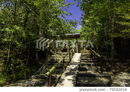 Yaegaki Shrine precincts Matsue City, Shimane Prefecture 79582616
