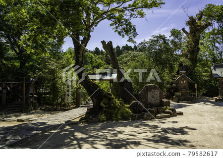Yaegaki Shrine precincts Matsue City, Shimane Prefecture Yaegaki Shrine precincts Matsue City, Shimane Prefecture 79582617