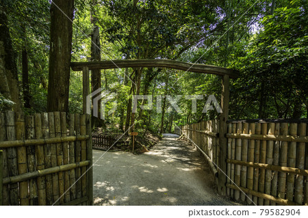 Yaegaki Shrine Saku Same no Mori Entrance Matsue City, Shimane Prefecture 79582904