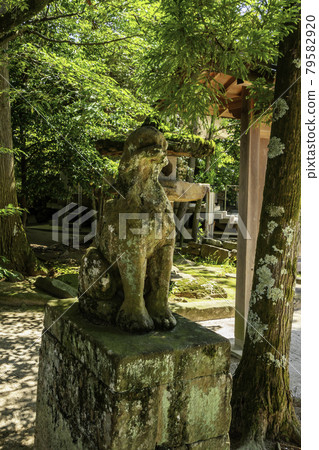 Yaegaki Shrine Komainu, Matsue City, Shimane Prefecture 79582920