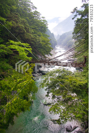 德島縣家矢之橋 79583215