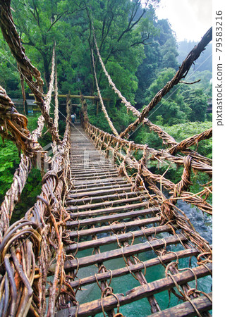 穿越德島縣的家之之橋 79583216