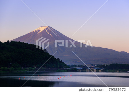 (山梨縣)朝霞中的富士山和河口湖大橋 (山梨縣)朝霞中的富士山和河口湖大橋 79583672