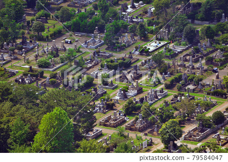 <Tokyo> Aoyama Cemetery <Tokyo> Aoyama Cemetery 79584047