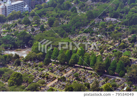 <Tokyo> Aoyama Cemetery <Tokyo> Aoyama Cemetery 79584049