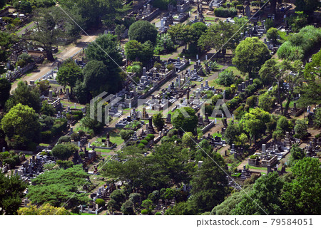<Tokyo> Aoyama Cemetery 79584051