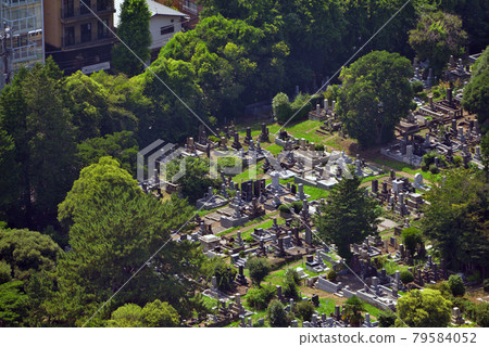 <Tokyo> Aoyama Cemetery <Tokyo> Aoyama Cemetery 79584052