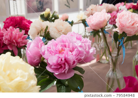 Floral exhibition. Peonies of different colors are in transparent vases. Various varieties of beautiful flowers 79584948