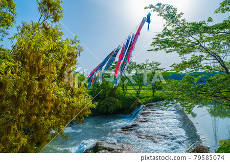 Nunohashima Junigataki / Nishio District, Komatsu City, Ishikawa Prefecture May 79585074