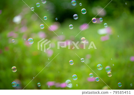 Lots of soap bubbles flying in the cosmos field 79585451