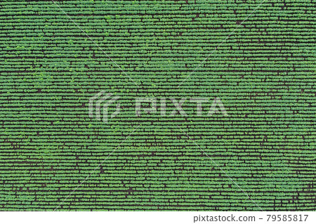 Aerial view of vegetable fields from a bird's-eye view of "Saitama Prefecture" Aerial view of vegetable fields from a bird's-eye view of "Saitama Prefecture" 79585817