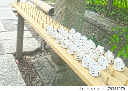 Omikuji 79585979