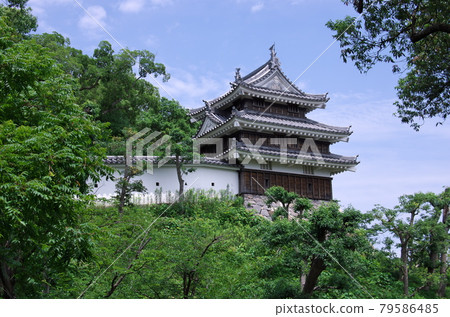 愛知縣西尾市：西尾城/本丸裕之塔 79586485