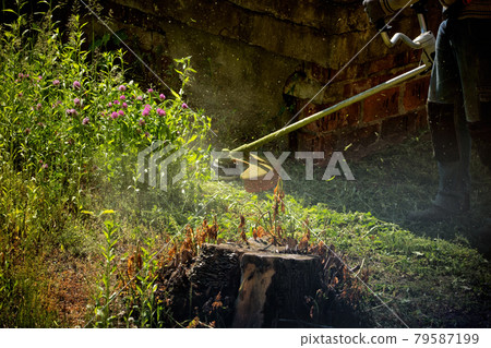 Worker Mowing Overgrown Lawn Worker Mowing Overgrown Lawn 79587199