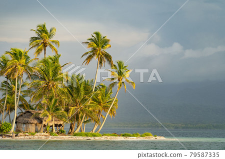 Tiny tropical, uninhabited island with coconut palm trees and white sand beach. Vacation and travel concept Tiny tropical, uninhabited island with coconut palm trees and white sand beach. Vacation and travel concept 79587335