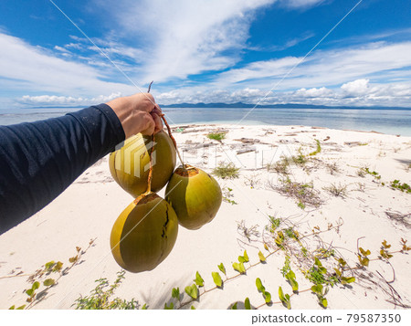 Hand holds Coconuts on the sandy beach with water and sky on background. Adventure and travel concept  79587350
