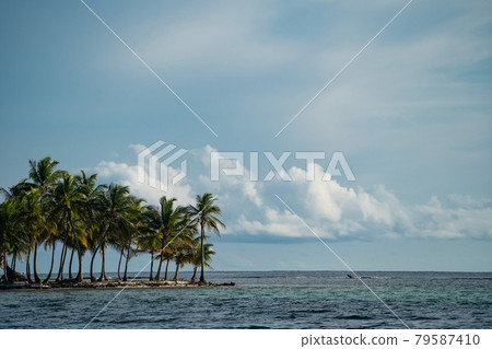 Small tropical island with coconut palm trees and white sand beach. Vacation and travel concept Small tropical island with coconut palm trees and white sand beach. Vacation and travel concept 79587410